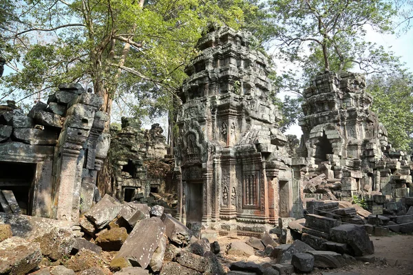 Angkor Thom tapınak kompleksi içinde Siem Reap içinde Cambodi