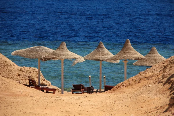 Mer Rouge Parasols Sur Belle Plage Egypte — Photo