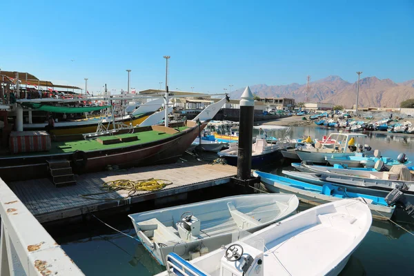 Oman Musandam Peninsula Gulf Oman Febbraio 2016 Barche Nel Porto — Foto Stock