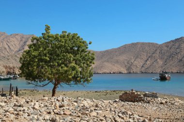 Antik köy, Haffa, Umman Sultanlığı Musandam Yarımadası, Umman Körfezi. Umman - Arap Yarımadası'nın güneydoğu kıyısı Arap ülkesinde. Musandam - Umman Valiliği