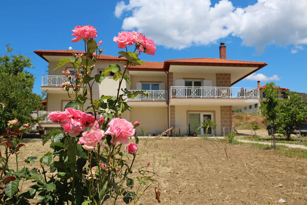 Roses flower near beautiful summer cottage with red roo