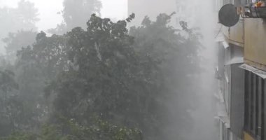 Şehirde sağanak yağmur ve rüzgar var. Rüzgar ağaçları sallar. Kötü hava, fırtına