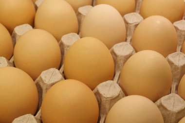 Taze sarı tavuk yumurtası. Tepside tavuk yumurtası. Tepside temiz tavuk yumurtası, yakın plan fotoğraf.