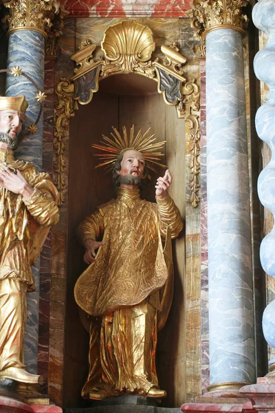 聖フランシスコ ザビエル像ヴァラジュディン クロアチアの仮定のカテドラルの祭壇の上 — ストック写真