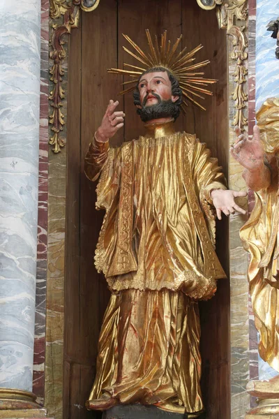 San Giovanni Nepomuceno Statua Sull Altare Nella Cattedrale Dell Assunzione — Foto Stock