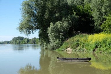 Sava Nehri çok az Avrupa'da değişmeden ova nehirleri, Lonjsko polje Hırvatistan biridir