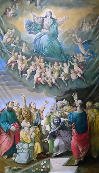 Mihrabını Zagreb Katedrali Mary varsayım adanmış Kutsal Bakire Meryem Varsayım 
