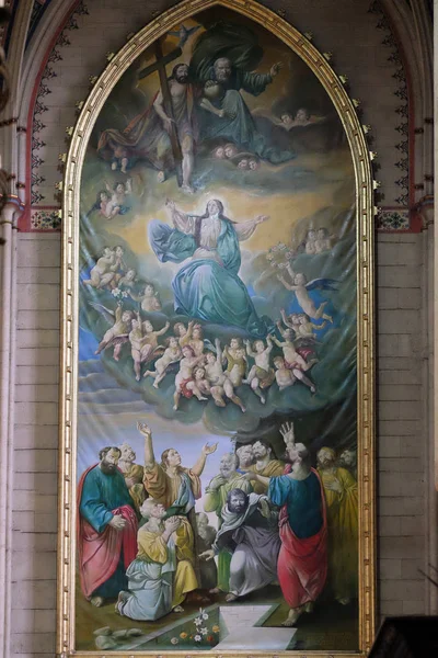 Oletus Neitsyt Marian Alttaritaulu Zagrebin Katedraali Omistettu Neitsyt Marian — kuvapankkivalokuva