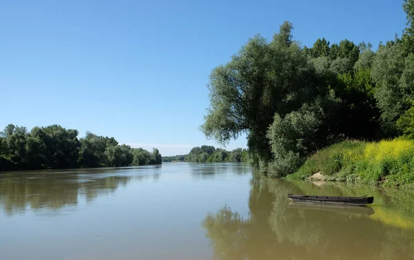 萨瓦河是欧洲为数不多的不变的低地河流之一 Lonjsko 波列在克罗地亚 — 图库照片