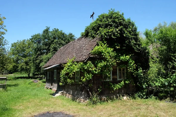 Typisches Holzhaus Dorf Krapje Naturpark Lonjsko Polje Kroatien — Stockfoto