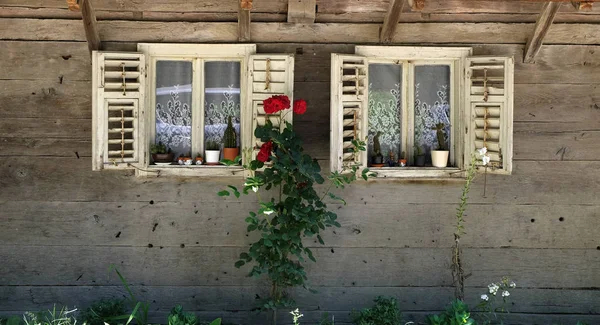Windows Typický Dřevěný Dům Obci Krapje Lonjsko Polje Přírodního Parku — Stock fotografie