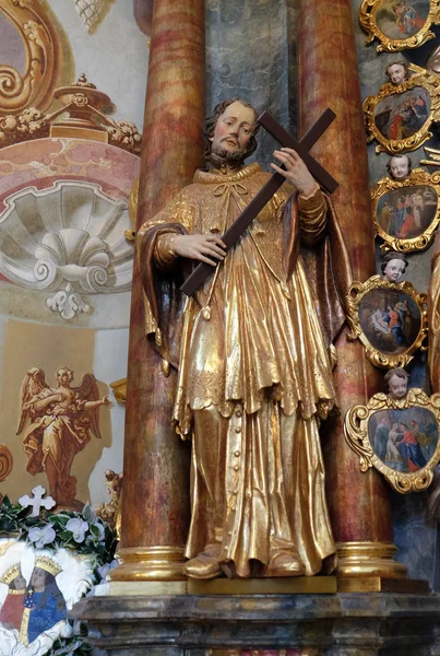 Statue Saint François Xavier Sur Autel Dans Église Baroque Notre — Photo