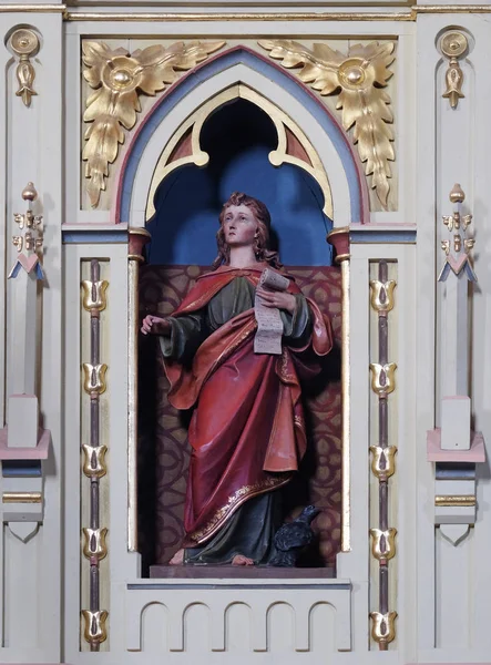 圣约翰福音传教士雕像在 Stitar 克罗地亚圣马修教堂的讲坛上 — 图库照片