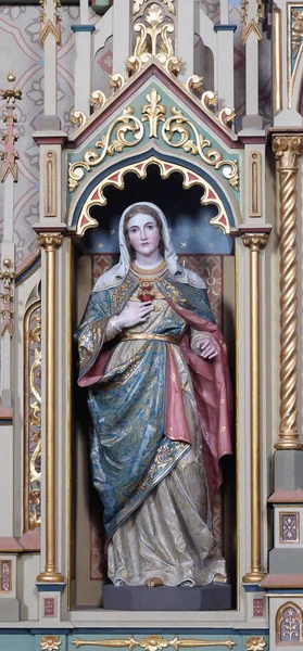 Cuore Immacolato Maria Statua Sul Sacro Cuore Gesù Altare Nella — Foto Stock