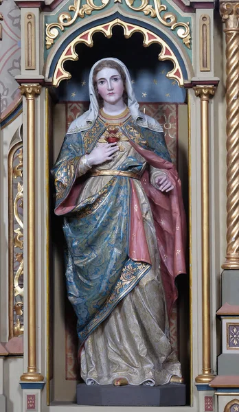 Cuore Immacolato Maria Statua Sul Sacro Cuore Gesù Altare Nella — Foto Stock