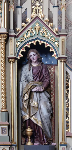 Estátua Santa Maria Madalena Sagrado Coração Jesus Altar Igreja São — Fotografia de Stock