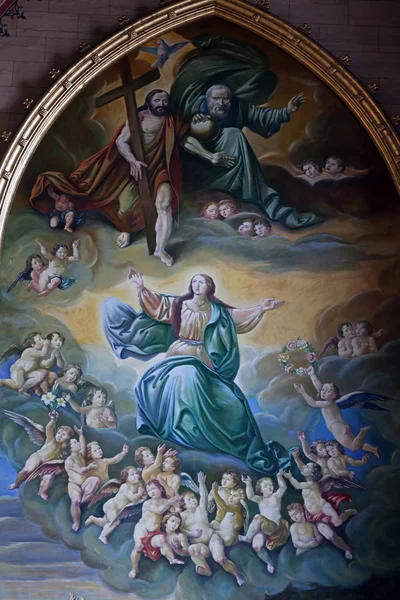 Antagandet Jungfru Maria Altartavla Zagrebs Katedral Tillägnad Antagandet Maria — Stockfoto