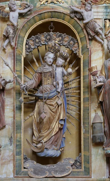 Altar Der Muttergottes Der Kapelle Des Wolfgangs Vukovoj Kroatien — Stockfoto