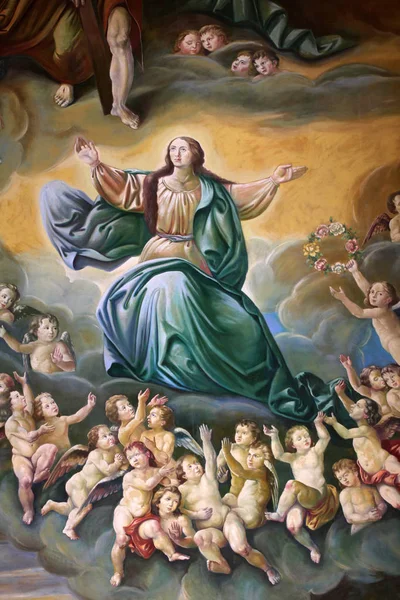 Antagelse Jomfru Maria Altertavle Katedralen Zagreb Dedikert Til Marias Himmelfart – stockfoto