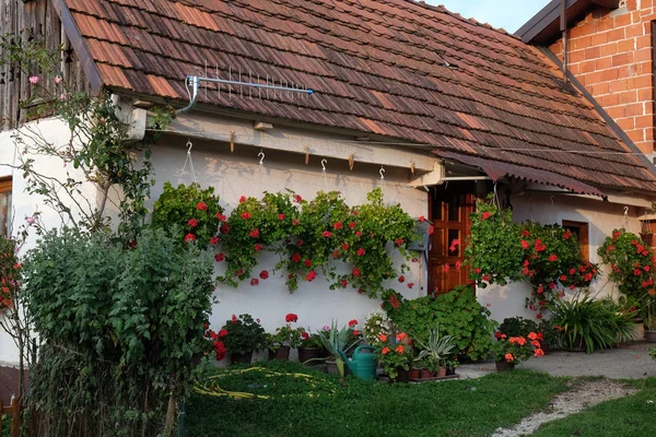 Hermosa Casa Rural Pueblo Purga Lepoglavska Croacia — Foto de Stock