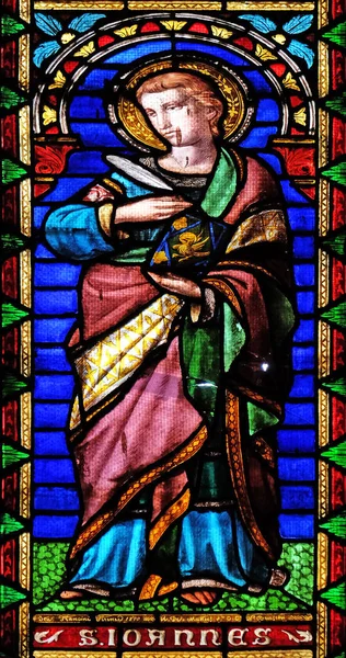 Evangelisten Johannes Glassmaleri Kirken San Michele Foro Lucca Toscana Italia – stockfoto