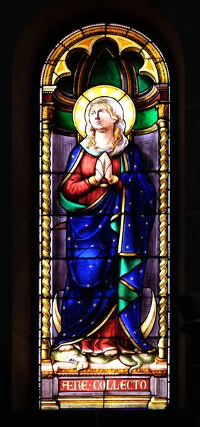 Діви Марії Вітраж Базиліці Святої Фредіано Тоскана Італія — стокове фото