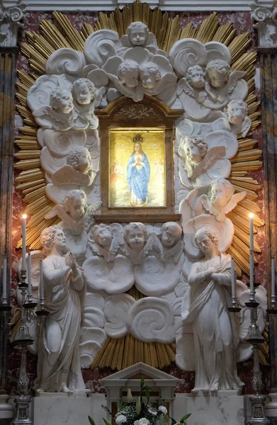 Virgin Mary Altar Basilica San Frediano Lucca Tuscany Italy — Stock Photo, Image