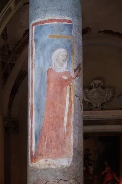 Saint Helen Basilica Saint Frediano Lucca Toskana Talya Gösteren Sütun — Stok fotoğraf