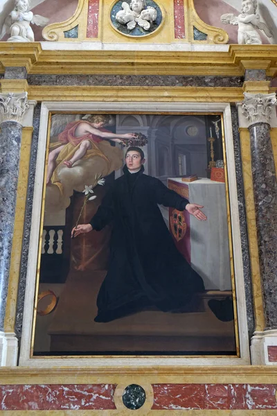 Sint Aloysius Gonzaga Altaarstuk Mantua Kathedraal Gewijd Aan Petrus Mantova — Stockfoto