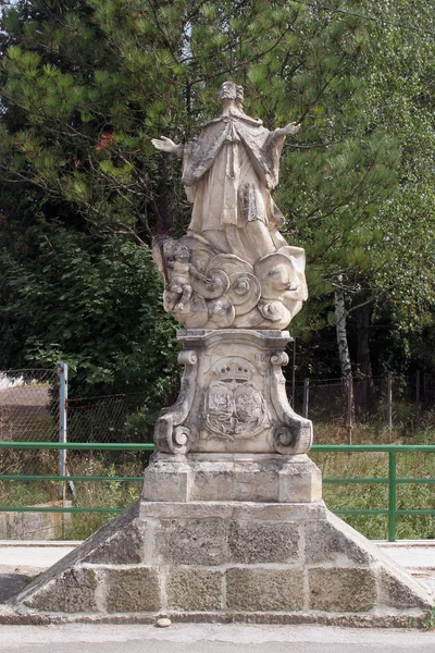 Johannes Van Nepomuk Standbeeld Klenovnik Kroatië — Stockfoto