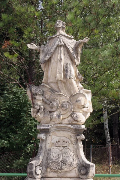 Estátua São João Nepomuk Klenovnik Croácia — Fotografia de Stock