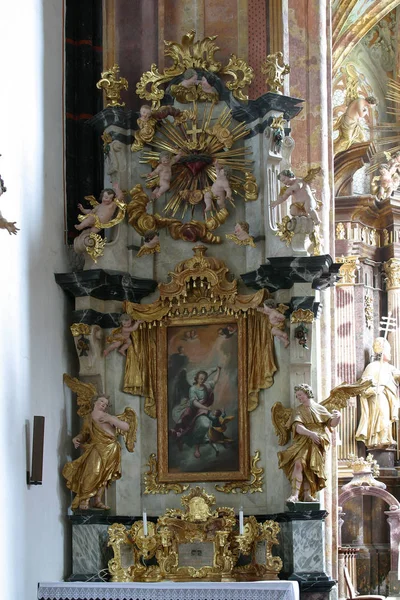 Ángel Guarda Altar Iglesia Inmaculada Concepción Lepoglava Croacia — Foto de Stock