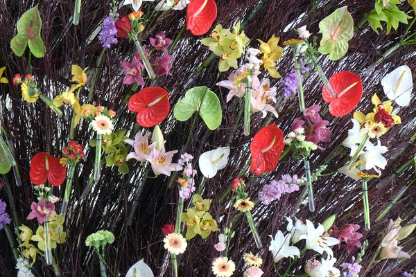 Bloemen Blootgesteld Aan Floraart Internationale Tuin Tentoonstelling Lake Bundek Zagreb — Stockfoto