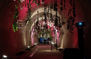 Floraart, 52 Uluslararası Bahçe Sergisi Gric Zagreb, tünelde 10 Mayıs 2017 maruz kalan çiçekler.