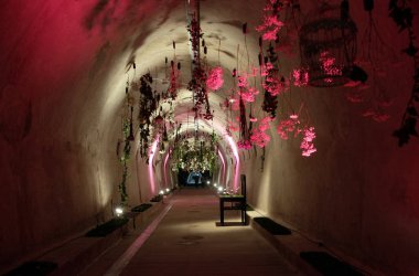Floraart, 52 Uluslararası Bahçe Sergisi Gric Zagreb, tünelde 10 Mayıs 2017 maruz kalan çiçekler.