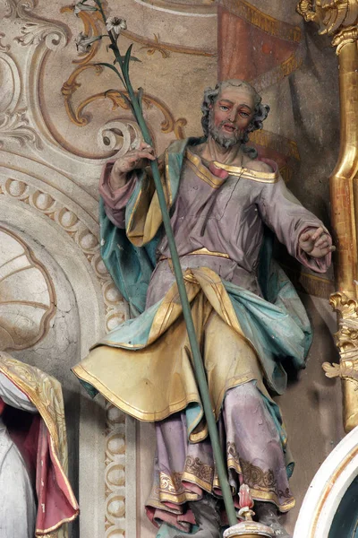 Saint Joseph Huvudaltaret Socken Kyrkan Antagandet Marija Muri Kroatien — Stockfoto