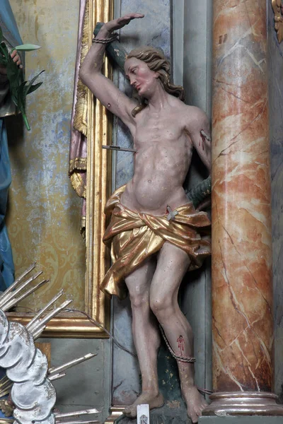 聖セバスティアヌス マリヤ で仮定の教区の教会の祭壇の彫像ムリ クロアチア — ストック写真