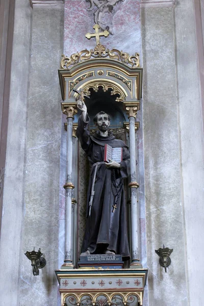 Saint François Statue Dans Église Paroissiale Assomption Marija Muri Croatie — Photo