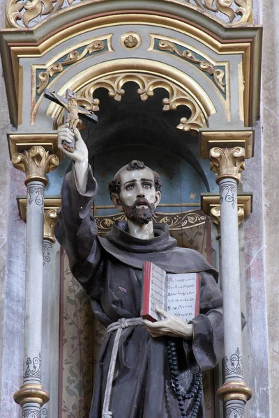 Heiliger Franziskus Statue Der Pfarrkirche Mariä Himmelfahrt Marija Muri Kroatien — Stockfoto