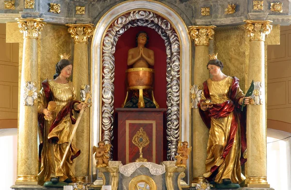 Saint Vitus Między Barbara Lucia Główny Ołtarz Kaplicy Saint Vitus — Zdjęcie stockowe