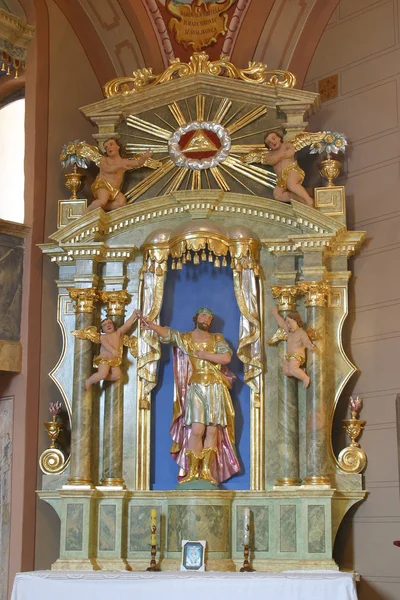 San Donato Estatua Altar Capilla San Vito Komor Zacretski Croacia — Foto de Stock