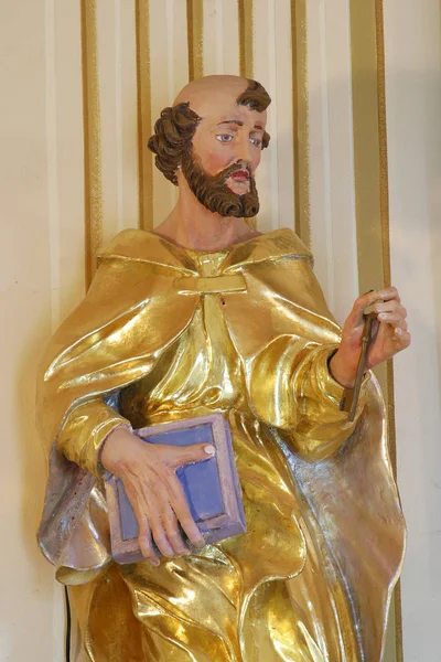 Świętego Piotra Statua Ołtarzu Kaplicy Saint Isidore Saint Roch Komor — Zdjęcie stockowe