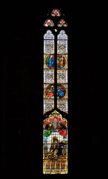 Vetrata Nella Cattedrale Zagabria Dedicata All Assunzione Maria — Foto Stock