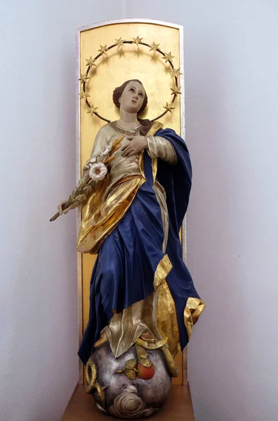 Virgen María Estatua Capilla San Francisco Ellwangen Alemania —  Fotos de Stock