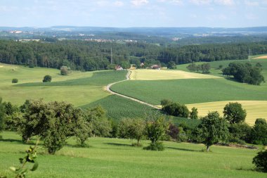 Alan buğday, tarım Tema