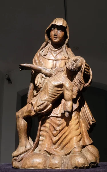 Pieta Holanda Madeira Século Paixão Arte Museu Mimara Zagreb Croácia — Fotografia de Stock