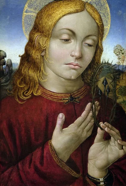 Christus Met Symbolen Van Passie Door Raffaellino Del Garbo Olie — Stockfoto