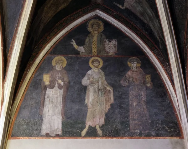 Mary varsayım adanmış kutsal Zagreb Katedrali fresco