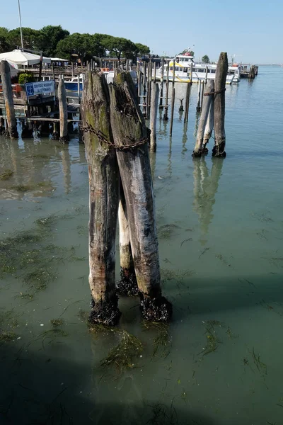 Wooden Mooring Poles Sea Way Lido Jesolo Venice Italy — Stock Photo, Image