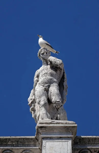 Statua Cima Alla Biblioteca Nazionale San Marco Biblioteca Marciana Venezia — Foto Stock